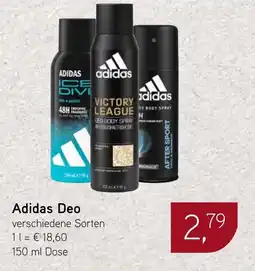 Dornseifer Adidas Deo Angebot
