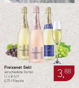 Dornseifer Freixenet Sekt Angebot