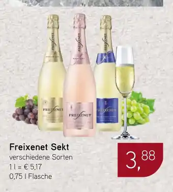 Dornseifer Freixenet Sekt Angebot