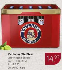 Dornseifer Paulaner Weißbier Angebot