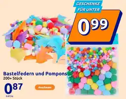 Action Bastelfedern und Pompons Angebot