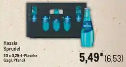 METRO Hassia Sprudel Angebot