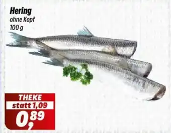 Simmel Hering ohne Kopf Angebot