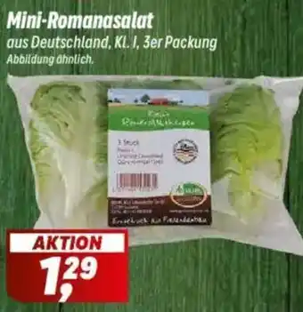 Simmel Mini-Romanasalat Angebot