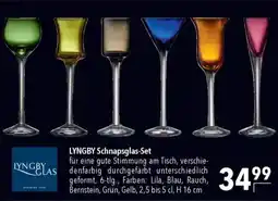 CITTI Markt LYNGBY Schnapsglas-Set Angebot