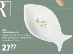 CITTI Markt Räder Fischschale Koralle Angebot