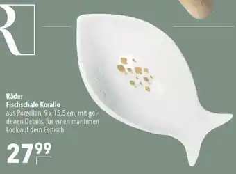 CITTI Markt Räder Fischschale Koralle Angebot