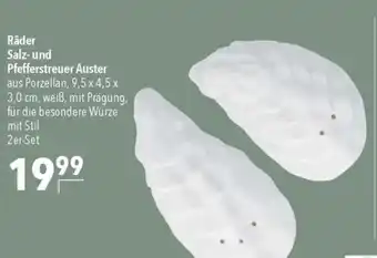CITTI Markt Räder Salz- und Pfefferstreuer Auster Angebot