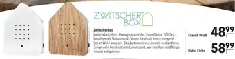 CITTI Markt Zwitscherbox batteriebetrieben Angebot