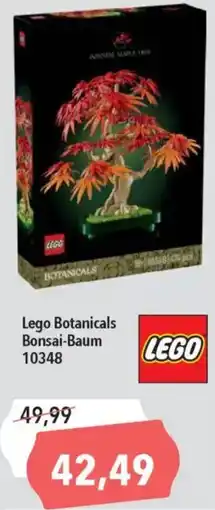 CITTI Markt Lego Botanicals Bonsai-Baum 10348 Angebot