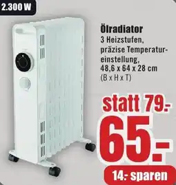 B1 Discount Baumarkt Ölradiator Angebot