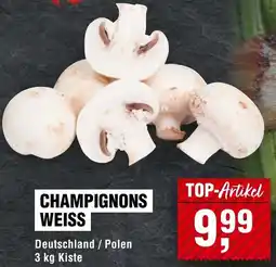 Handelshof Champignons weiss Angebot