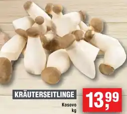 Handelshof Kräuterseitlinge Angebot