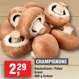 Handelshof Champignons Angebot