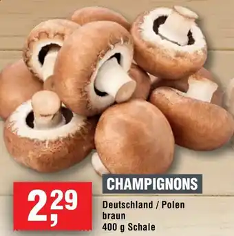 Handelshof Champignons Angebot