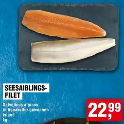 Handelshof Seesaiblingsfilet Angebot
