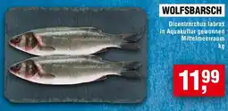 Handelshof Wolfsbarsch Angebot
