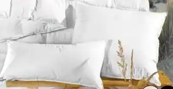 Ostermann Sansibar Marken Kissen Angebot