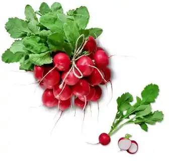 Kaufland Radieschen Angebot