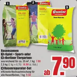 B1 Discount Baumarkt Rasensamen Spiel + Sport Angebot