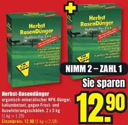B1 Discount Baumarkt Herbst-Rasendünger Angebot