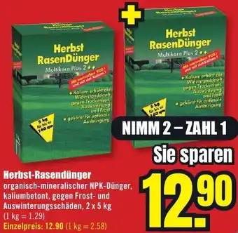 B1 Discount Baumarkt Herbst-Rasendünger Angebot