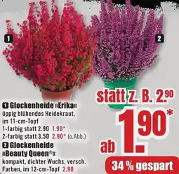 B1 Discount Baumarkt Glockenheide Erika Angebot
