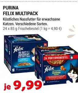 Zookauf Purina felix multipack Angebot
