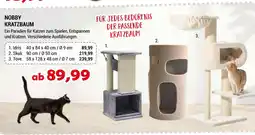 Zookauf Nobby kratzbaum Angebot