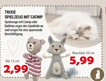 Zookauf Trixie spielzeug mit catnip bär Angebot
