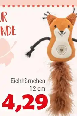 Zookauf Eichhörnchen Angebot