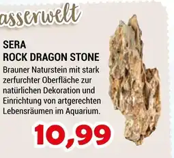 Zookauf Sera rock dragon stone Angebot