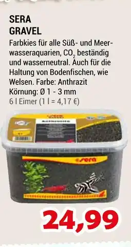 Zookauf Sera gravel Angebot