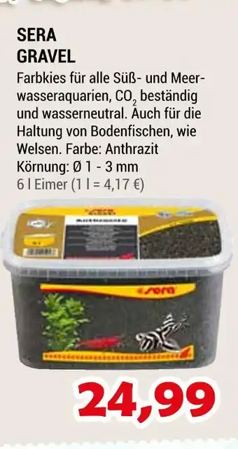 Zookauf Sera gravel Angebot