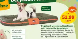 Fressnapf Dogs creek liegeplatz, liegekissen oder liegematte mountaineer Angebot