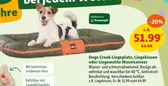 Fressnapf Dogs creek liegeplatz, liegekissen oder liegematte mountaineer Angebot