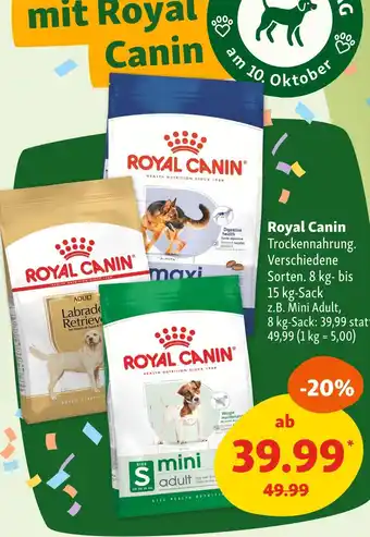 Fressnapf Royal canin trockennahrung Angebot