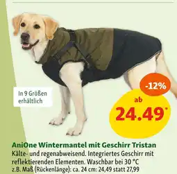 Fressnapf Anione wintermantel mit geschirr tristan Angebot
