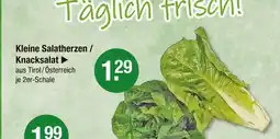 V Markt Kleine salatherzen Angebot