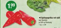 V Markt Spitzpaprika rot süß Angebot