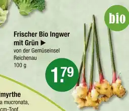 V Markt Frischer bio ingwer mit grün Angebot