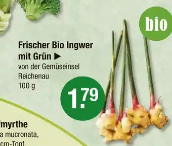 V Markt Frischer bio ingwer mit grün Angebot