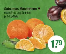 V Markt Satsumas mandarinen Angebot