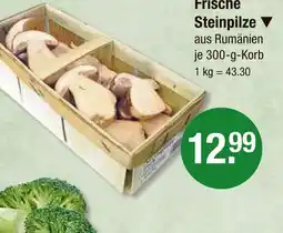 V Markt Frische steinpilze Angebot