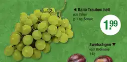 V Markt Italia trauben hell Angebot