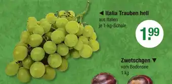V Markt Italia trauben hell Angebot