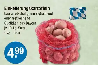 V Markt Einkellerungskartoffeln Angebot
