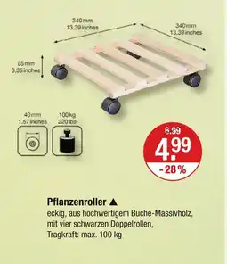V Markt Pflanzenroller Angebot