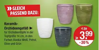 V Markt Keramik-orchideengefäß Angebot