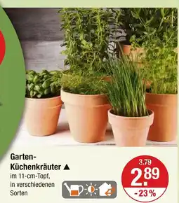 V Markt Garten-küchenkräuter Angebot